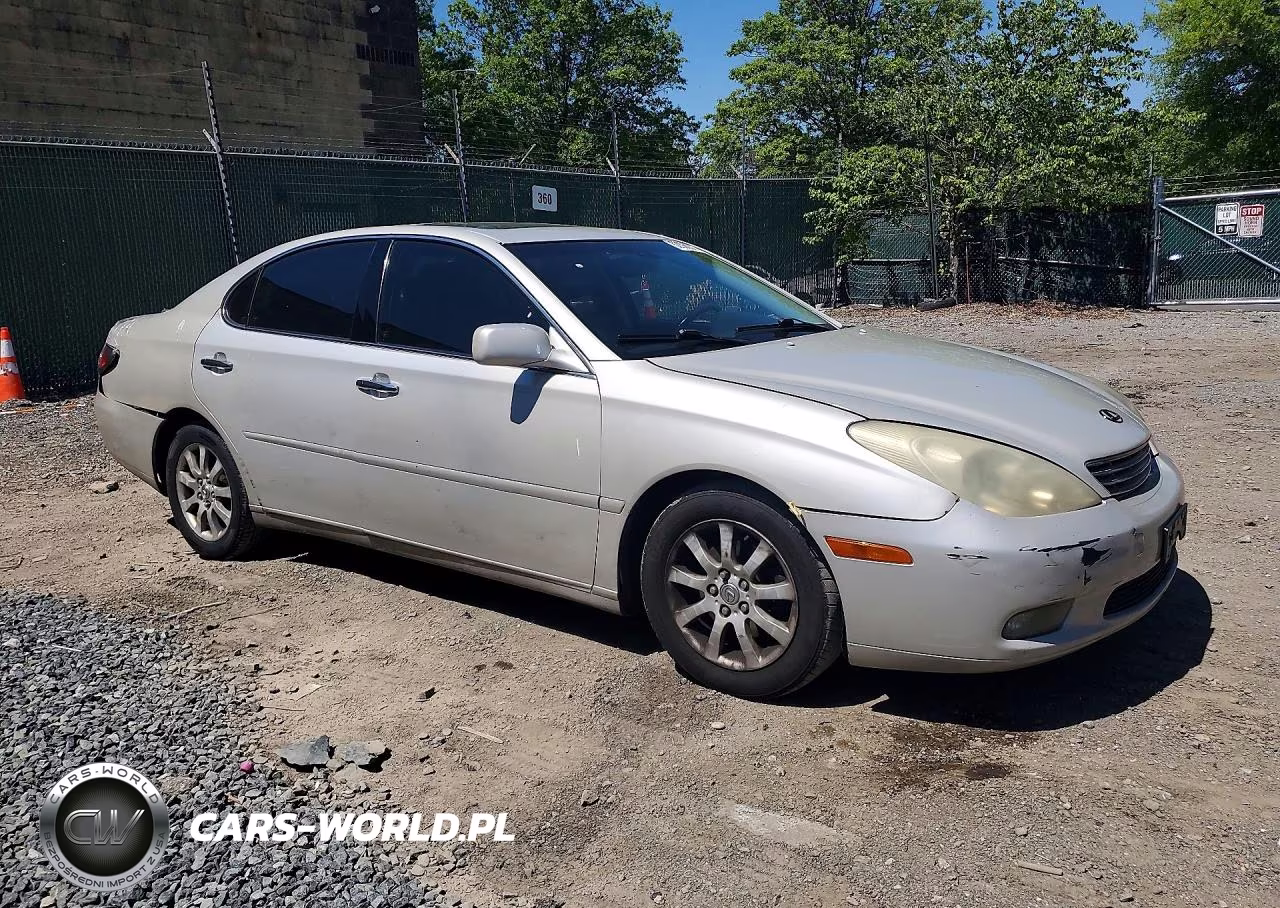 2002 Lexus Es 300 VIN:JTHBF30G520028867 - 4