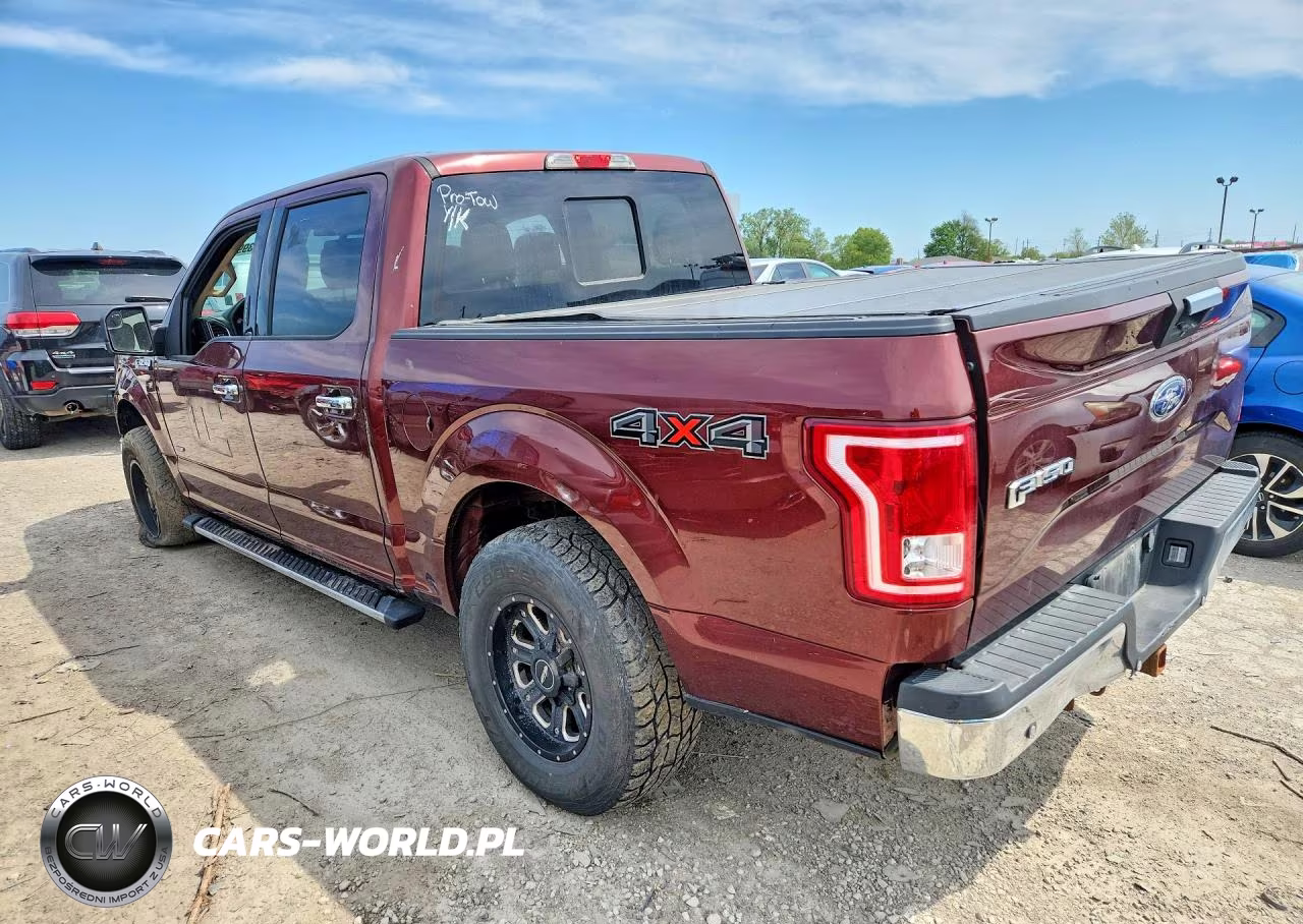 2016 Ford F150 Supercrew VIN:1FTEW1EP0GFC57229 - 2