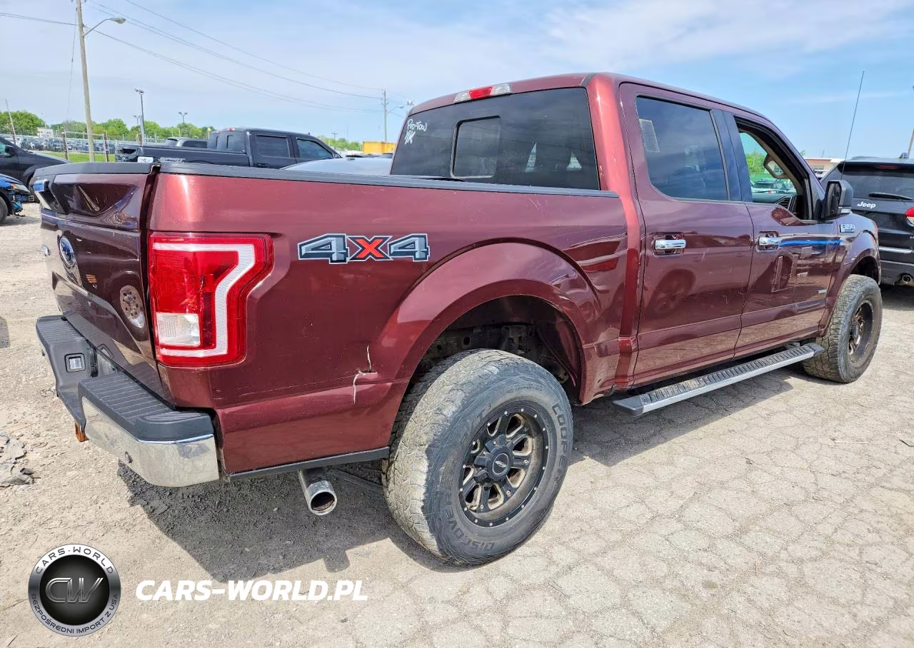 2016 Ford F150 Supercrew VIN:1FTEW1EP0GFC57229 - 3