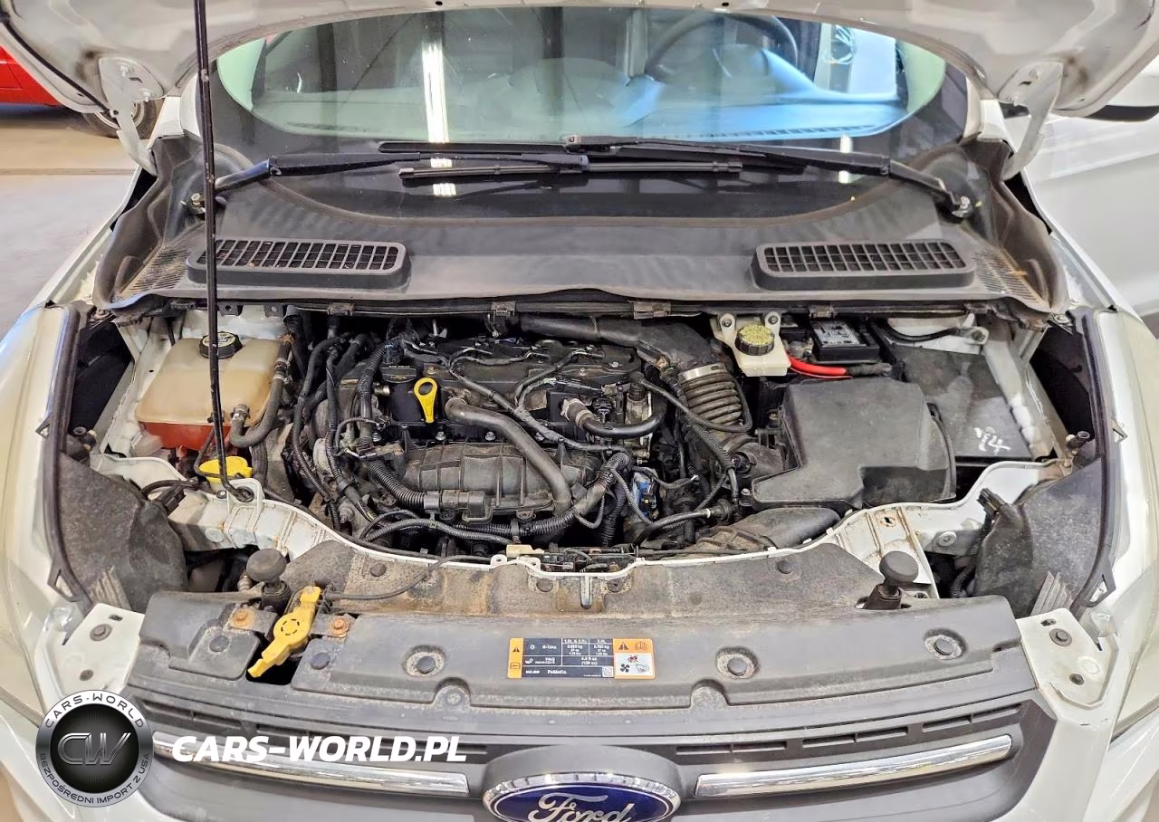 2014 Ford Escape Se VIN:1FMCU9GXXEUC38409 - 12