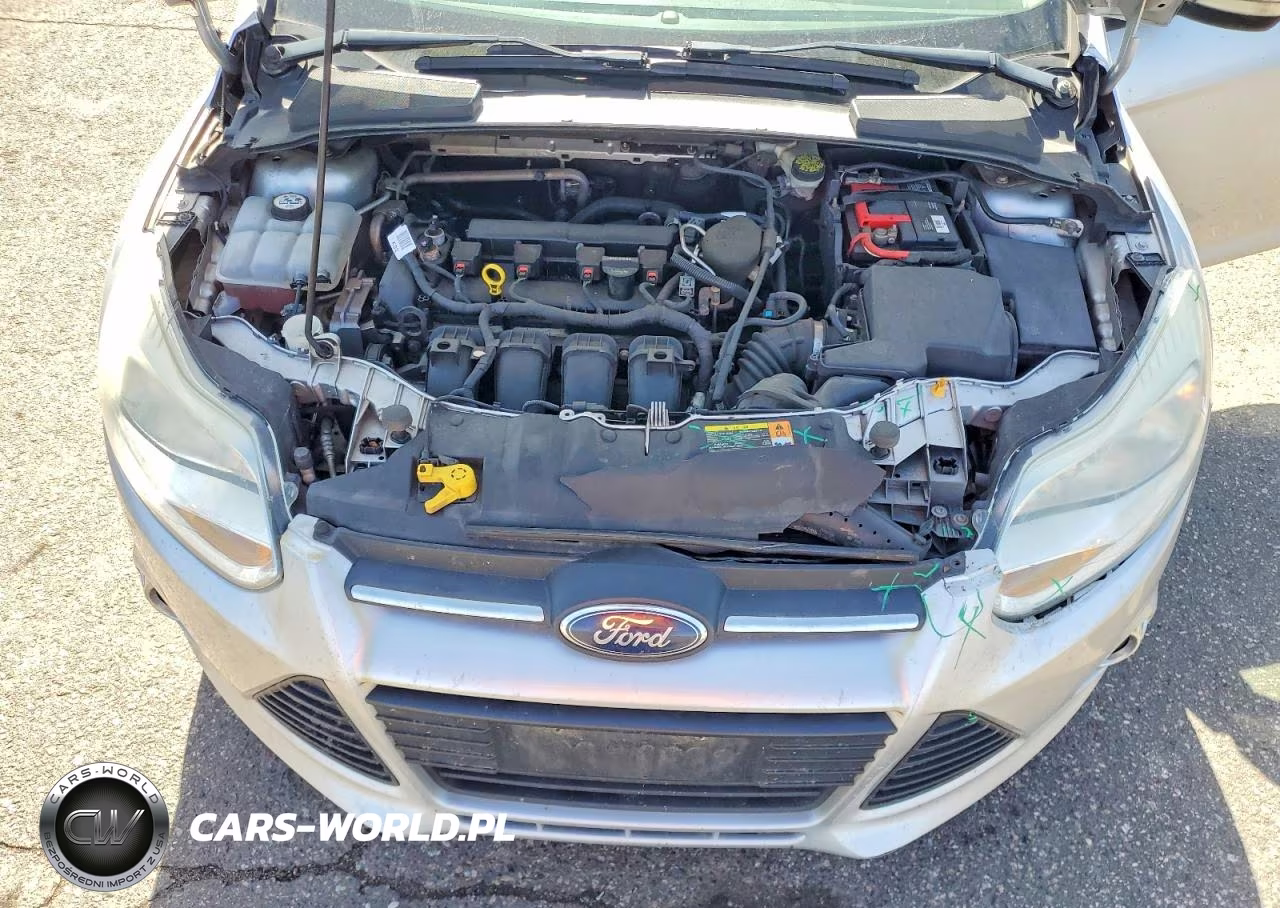 2013 Ford Focus Se VIN:1FADP3F29DL205107 - 11
