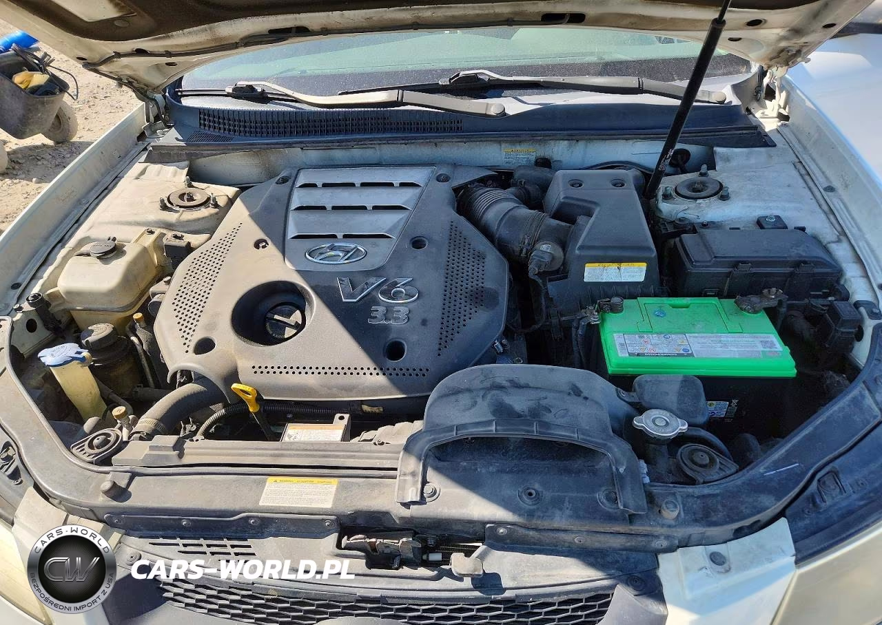 2007 Hyundai Sonata Se VIN:5NPEU46F17H219298 - 11