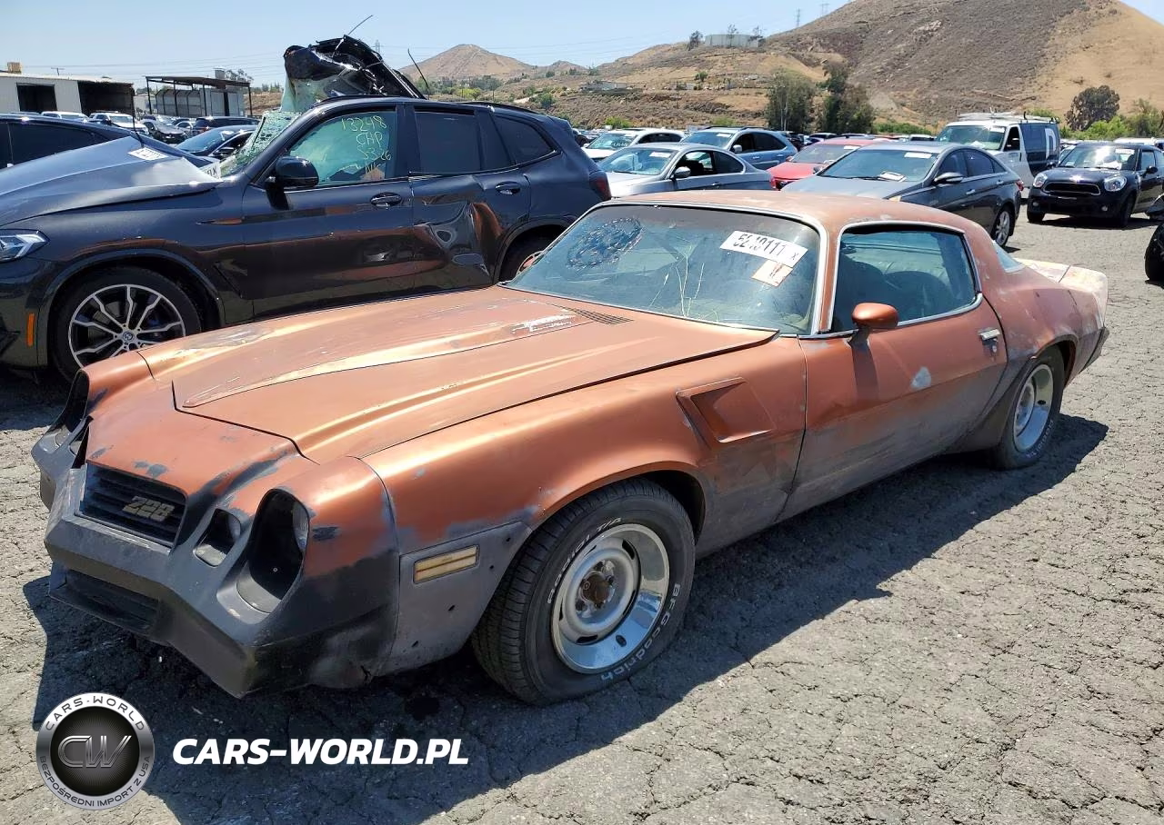 1980 Chevrolet Chev