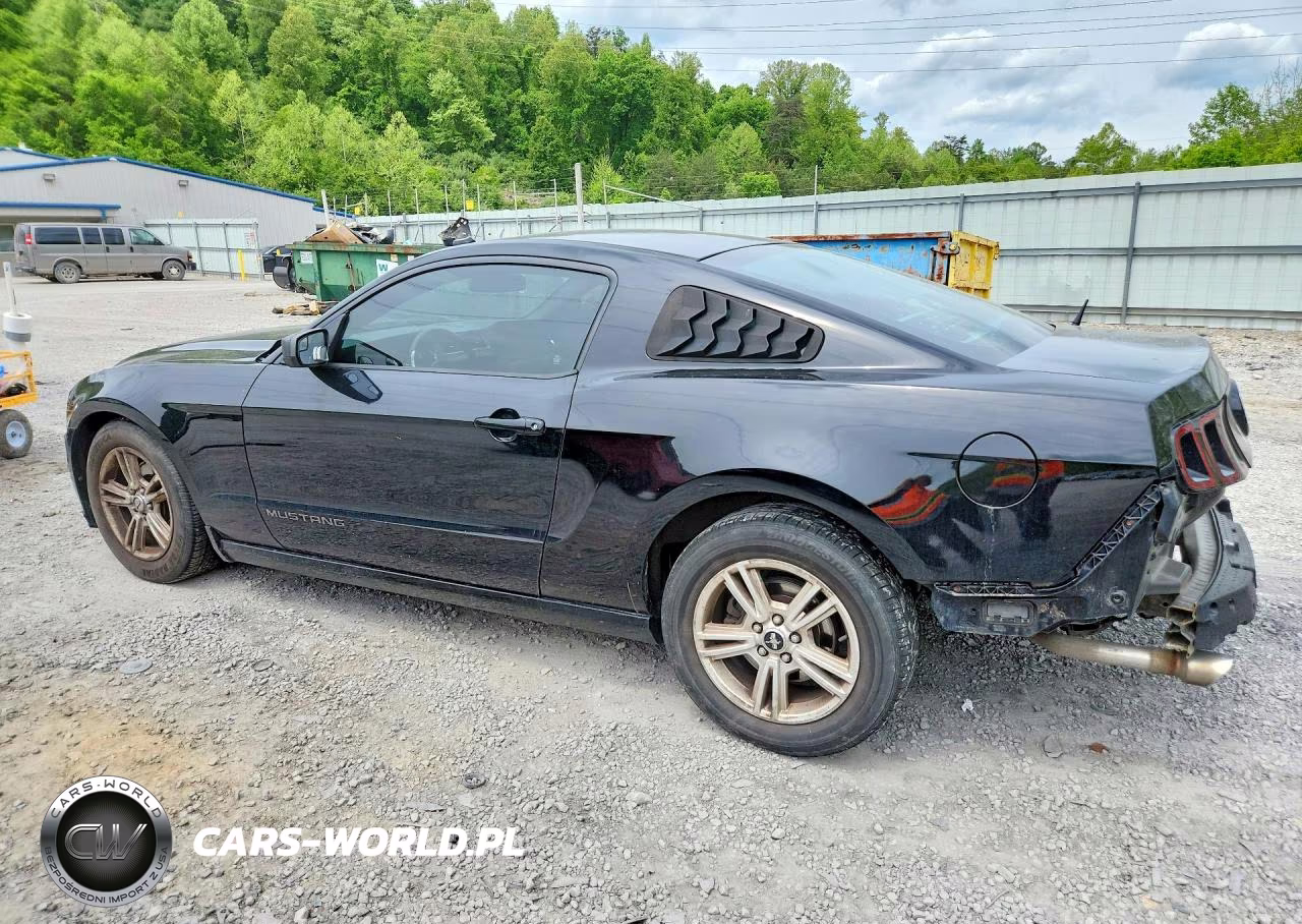 2014 Ford Mustang VIN:1ZVBP8AM0E5254044 - 2