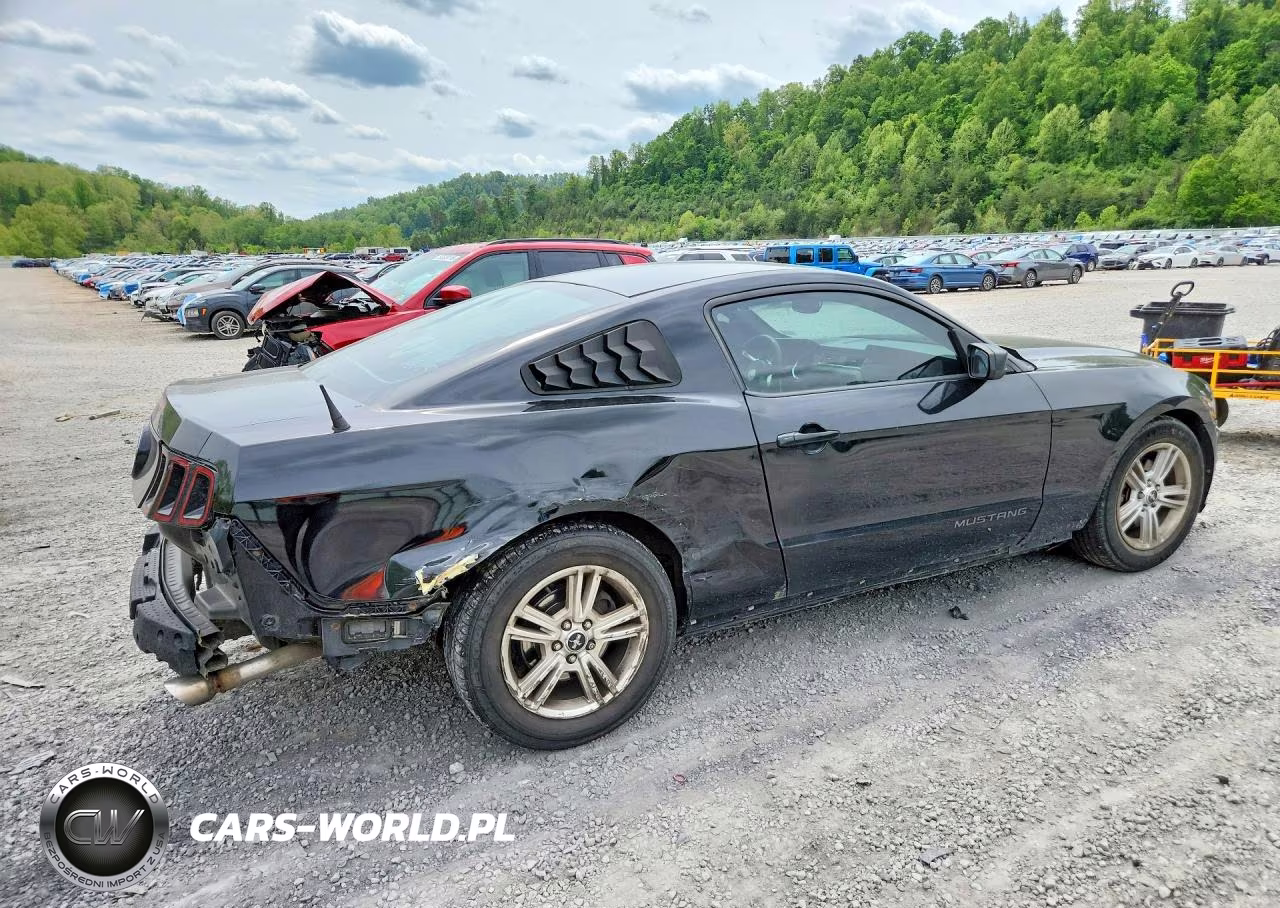 2014 Ford Mustang VIN:1ZVBP8AM0E5254044 - 3