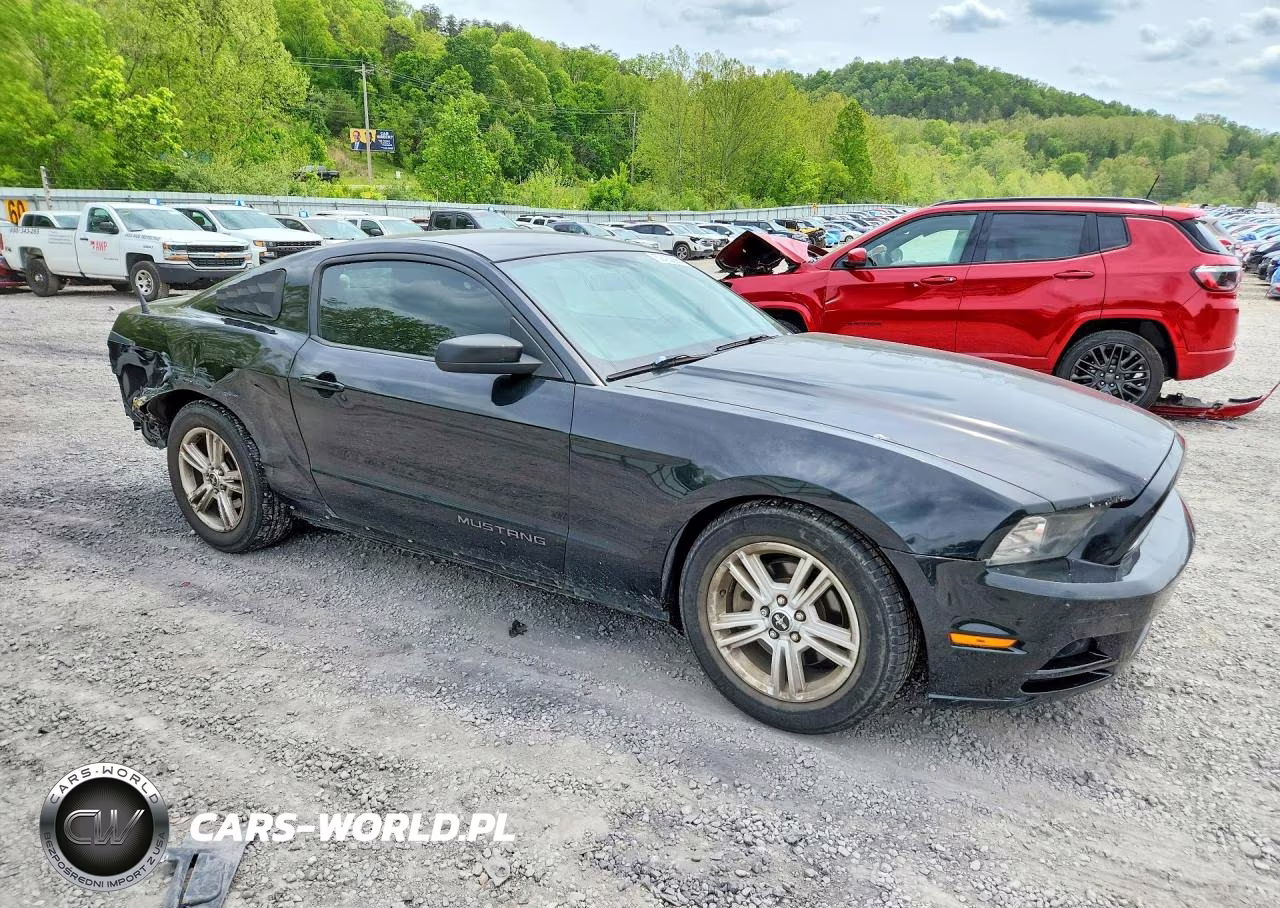 2014 Ford Mustang VIN:1ZVBP8AM0E5254044 - 4