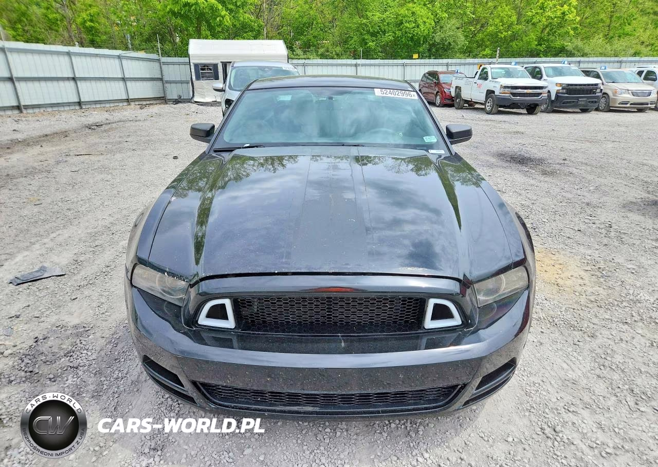 2014 Ford Mustang VIN:1ZVBP8AM0E5254044 - 5