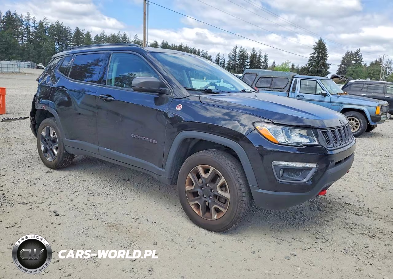 2017 Jeep Compass Trailhawk VIN:3C4NJDDB2HT631790 - 4
