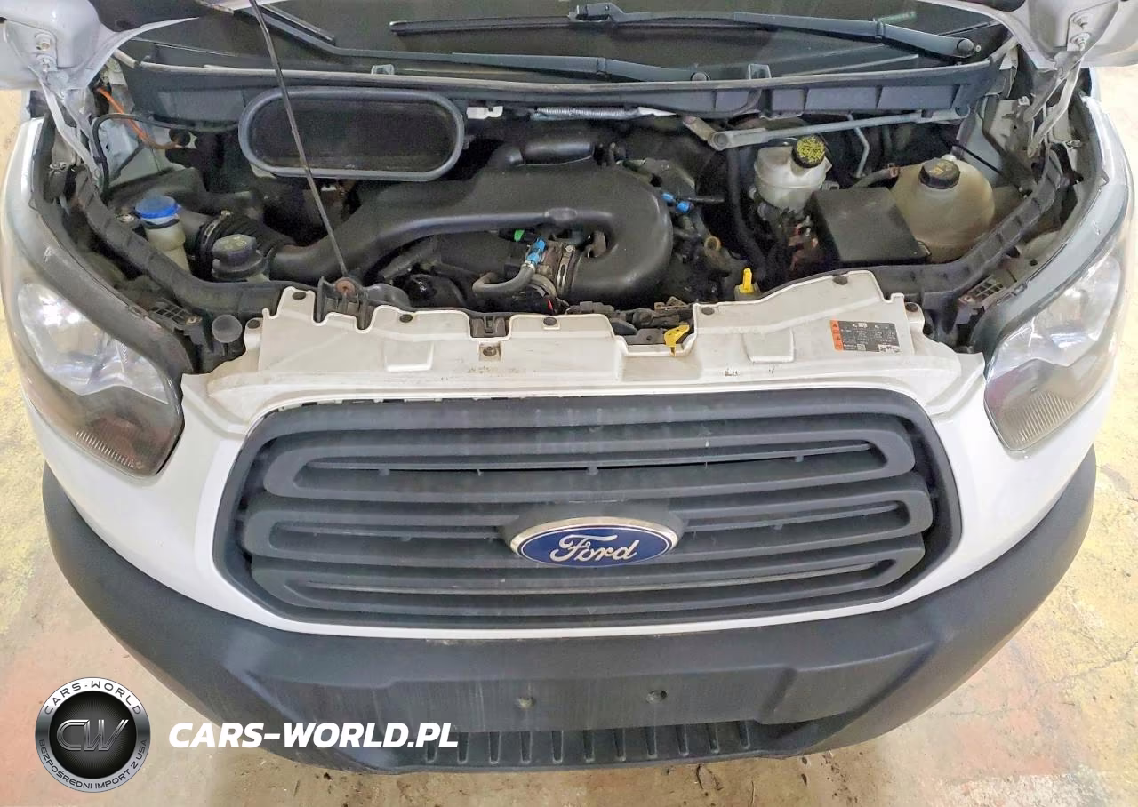 2016 FORD TRANSIT T-150 VIN:1FTYE1YM4GKB13059 - 12