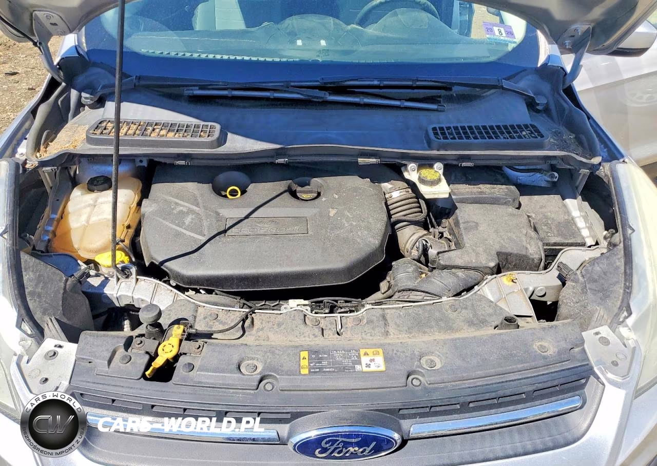 2014 Ford Escape Se VIN:1FMCU0G95EUD62696 - 12