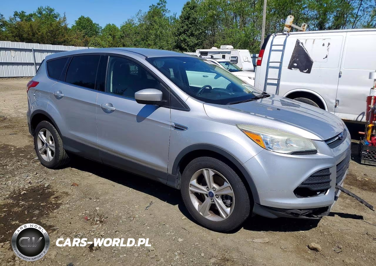 2014 Ford Escape Se VIN:1FMCU0G95EUD62696 - 4