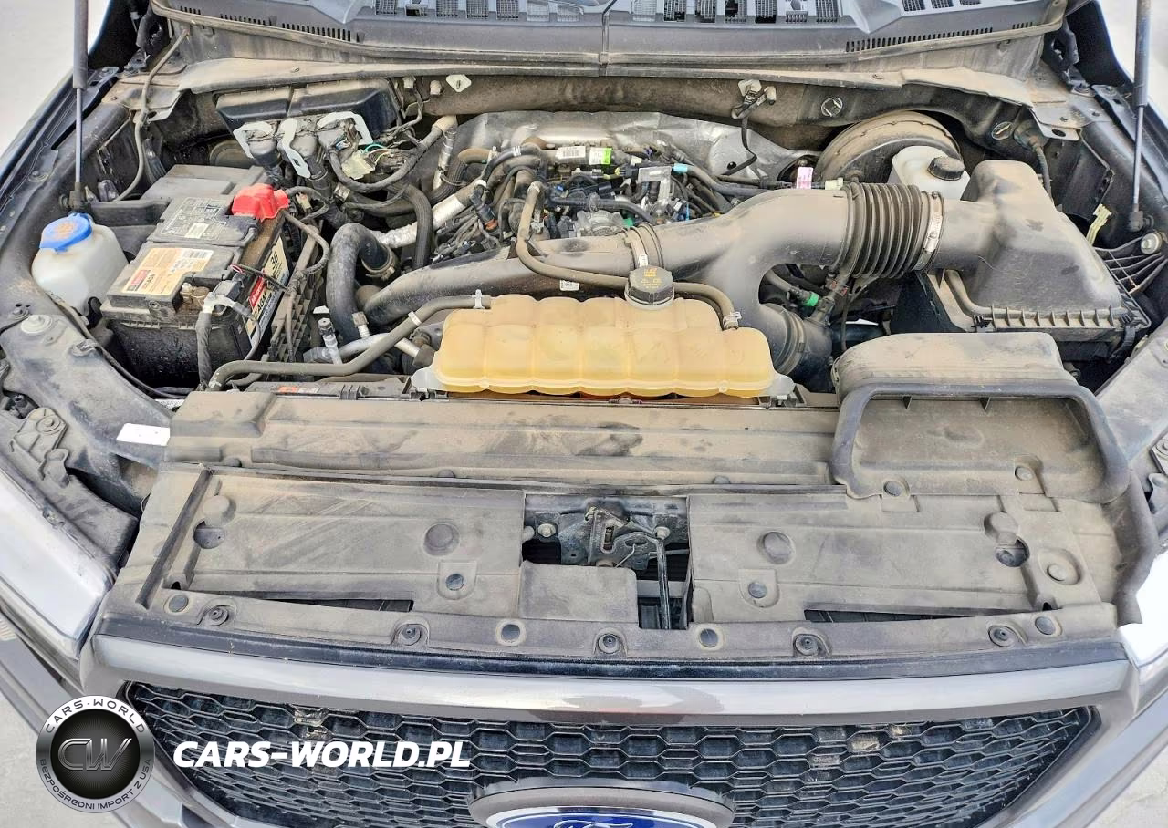 2020 Ford F150 Supercrew VIN:1FTEW1CP2LKD87310 - 11