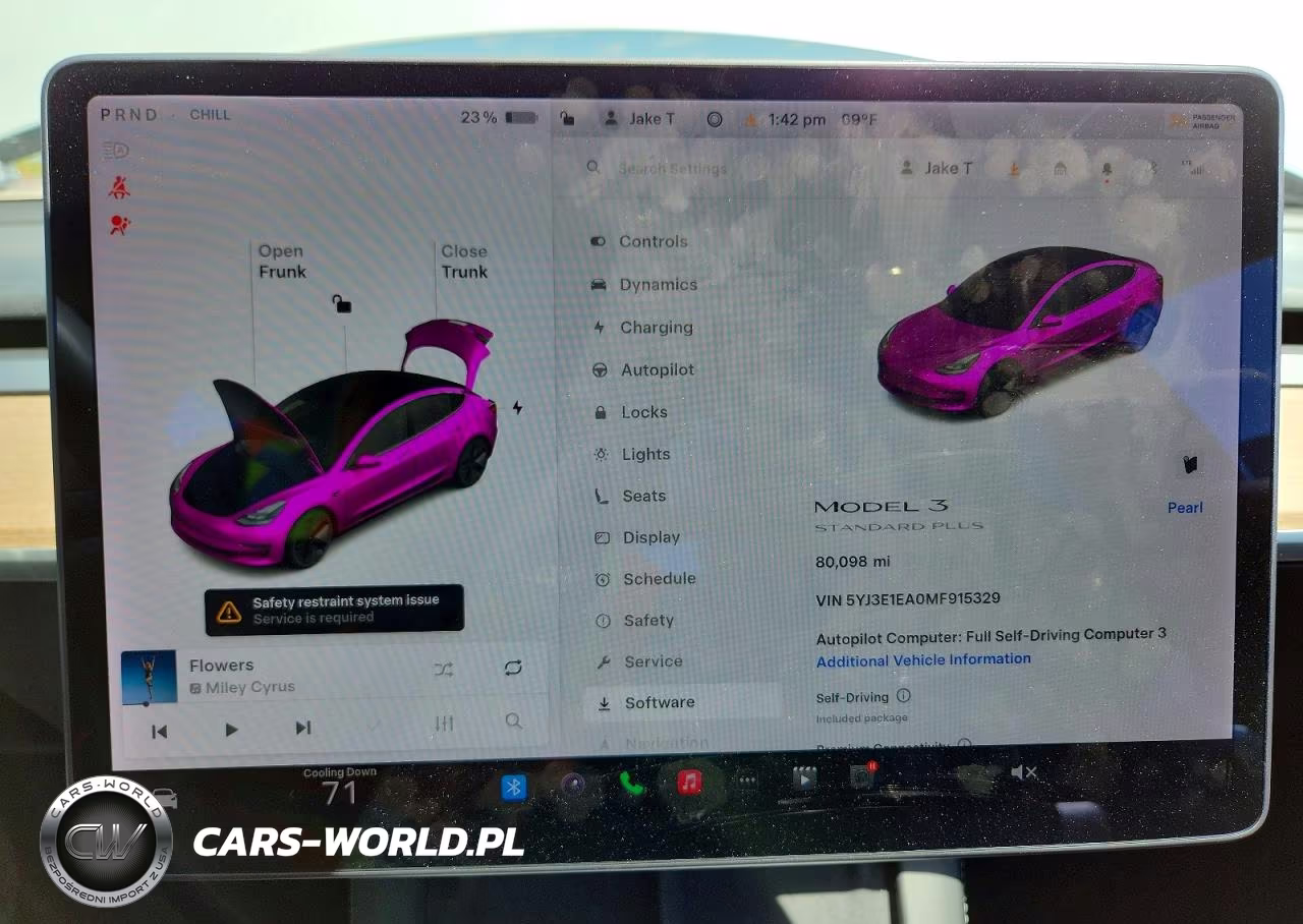 2021 Tesla Model 3 VIN:5YJ3E1EA0MF915329 - 9