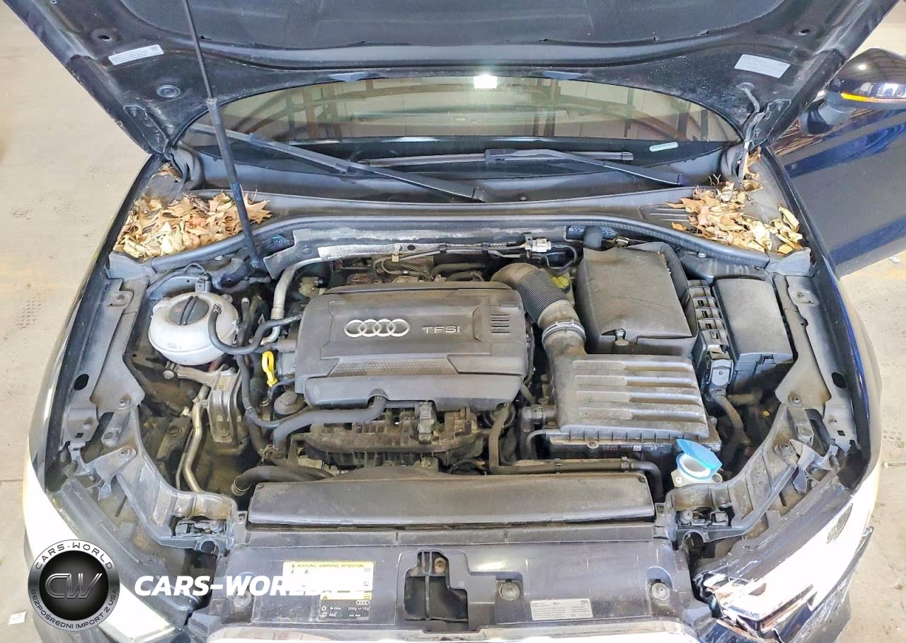 2017 Audi A3 Premium Plus VIN:WAUJ8GFF6H1050583 - 11
