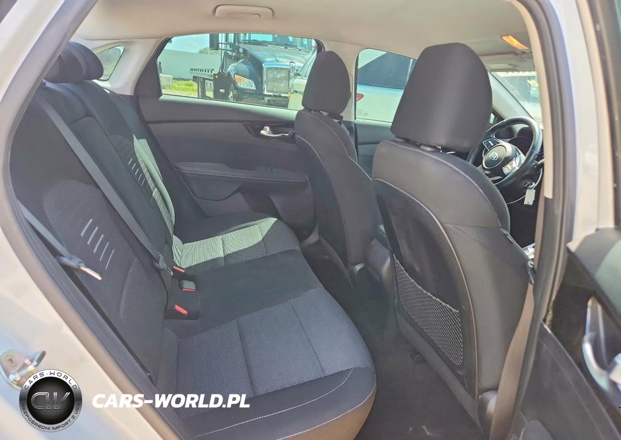 2019 Kia Forte S VIN:3KPF34AD1KE017636 - 10