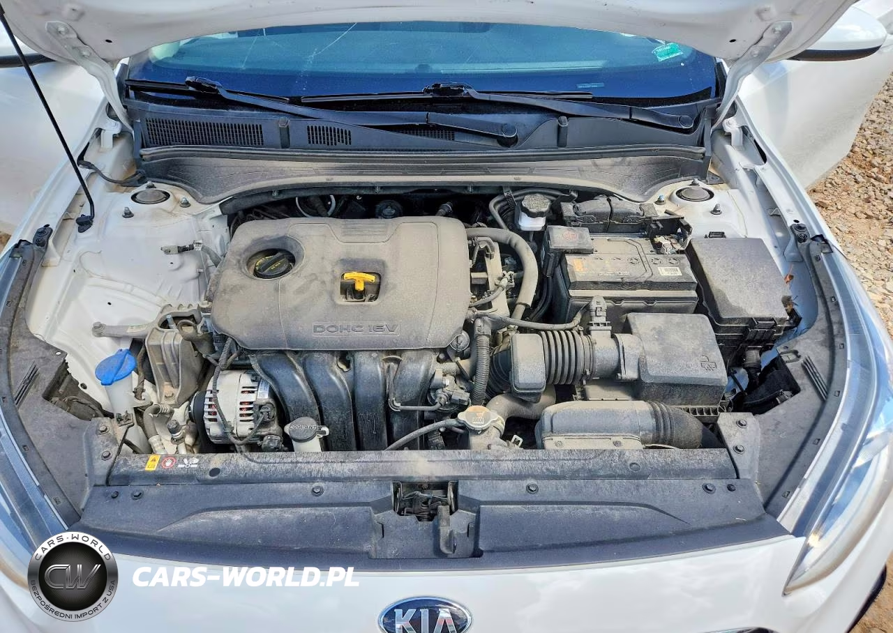 2019 Kia Forte S VIN:3KPF34AD1KE017636 - 11