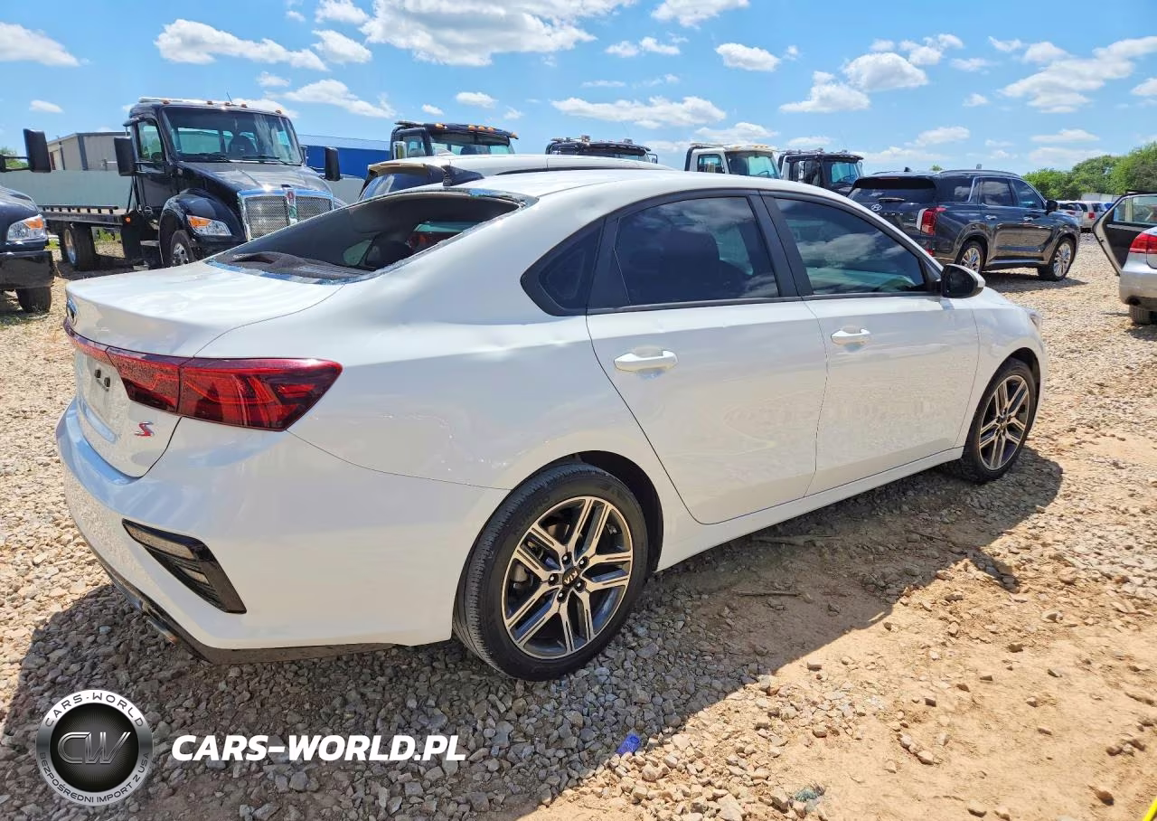 2019 Kia Forte S VIN:3KPF34AD1KE017636 - 3