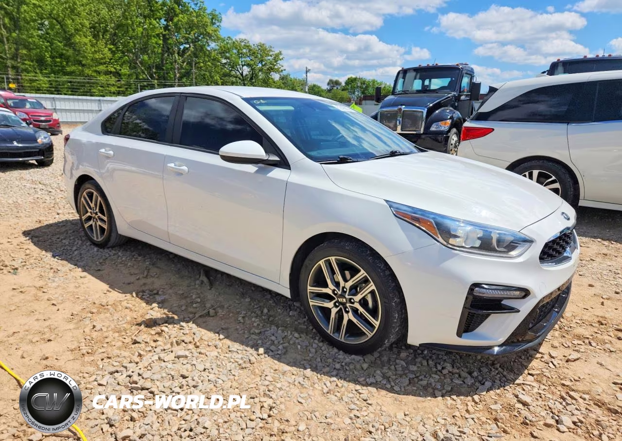 2019 Kia Forte S VIN:3KPF34AD1KE017636 - 4
