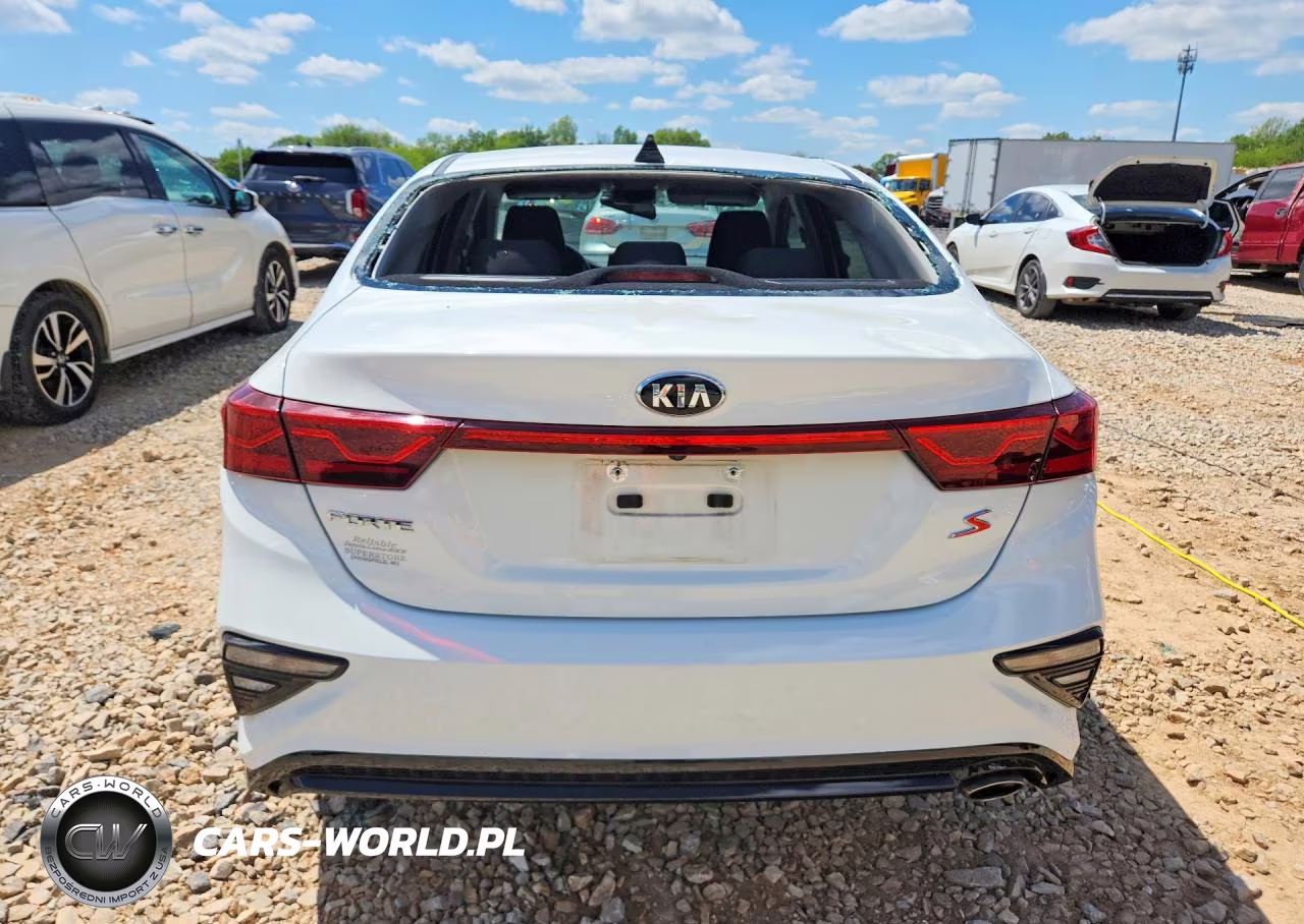 2019 Kia Forte S VIN:3KPF34AD1KE017636 - 6