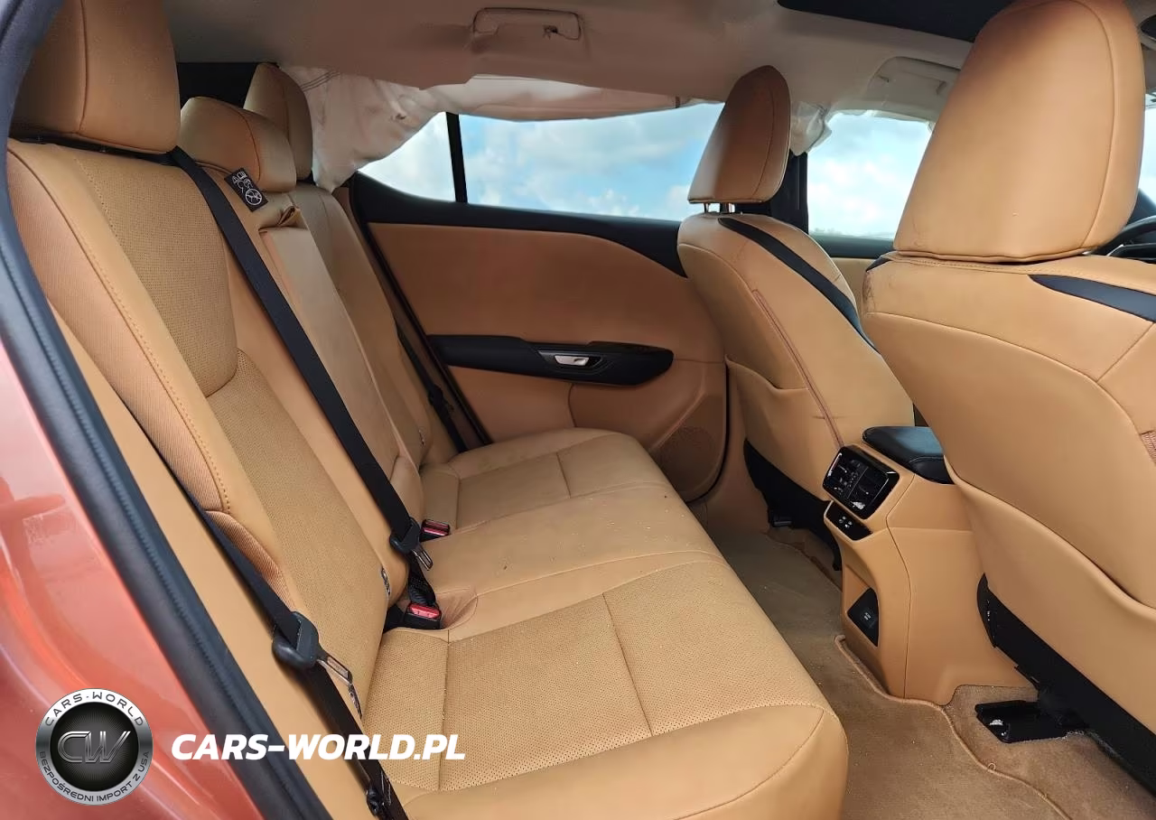 2025 Lexus Rz 300E VIN:JTJABABB7SA011221 - 10