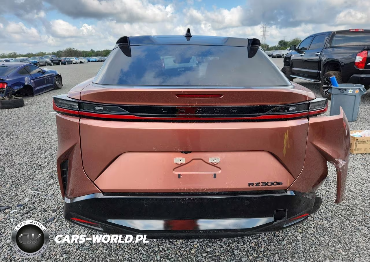 2025 Lexus Rz 300E VIN:JTJABABB7SA011221 - 6
