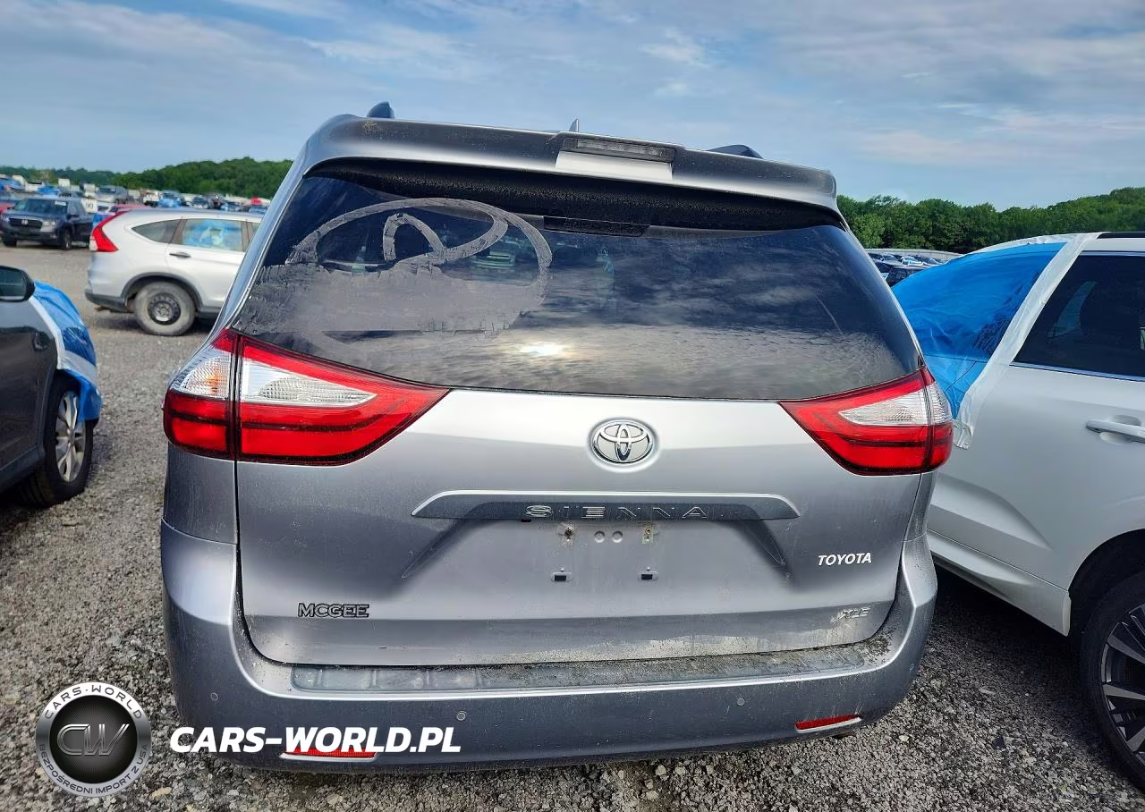 2018 Toyota Sienna Xle 8-Passenger VIN:5TDYZ3DC7JS938249 - 6