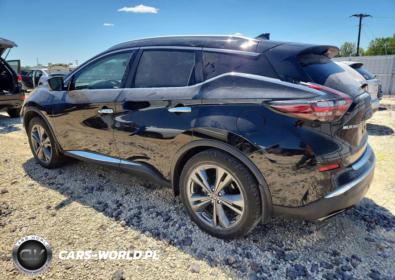 2020 Nissan Murano Platinum VIN:5N1AZ2DJ1LN162862 - 2