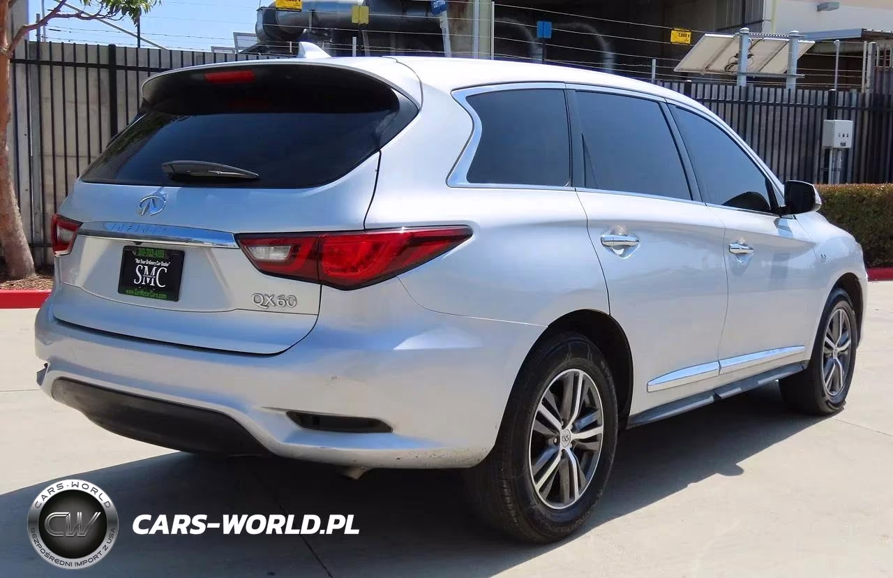 2020 Infiniti Qx60 Pure VIN:5N1DL0MN4LC529934 - 3