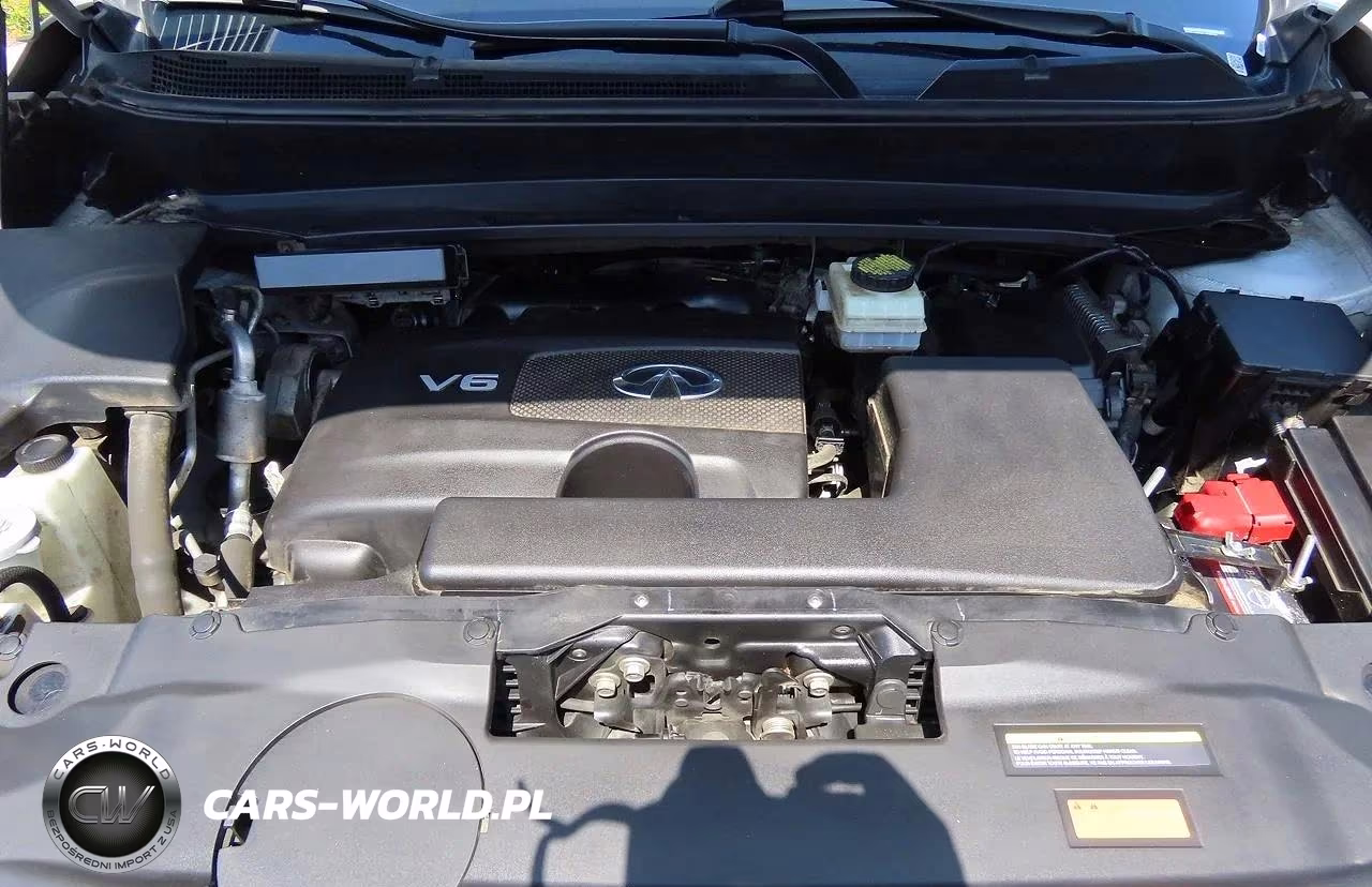 2020 Infiniti Qx60 Pure VIN:5N1DL0MN4LC529934 - 7