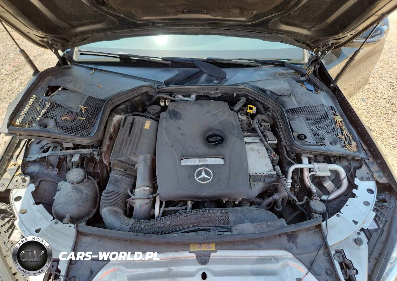 2017 Mercedes-Benz C 300 4Matic VIN:55SWF4KB0HU196290 - 11