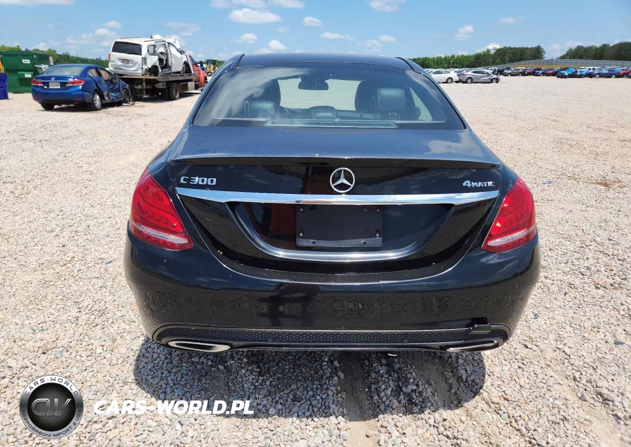 2017 Mercedes-Benz C 300 4Matic VIN:55SWF4KB0HU196290 - 6