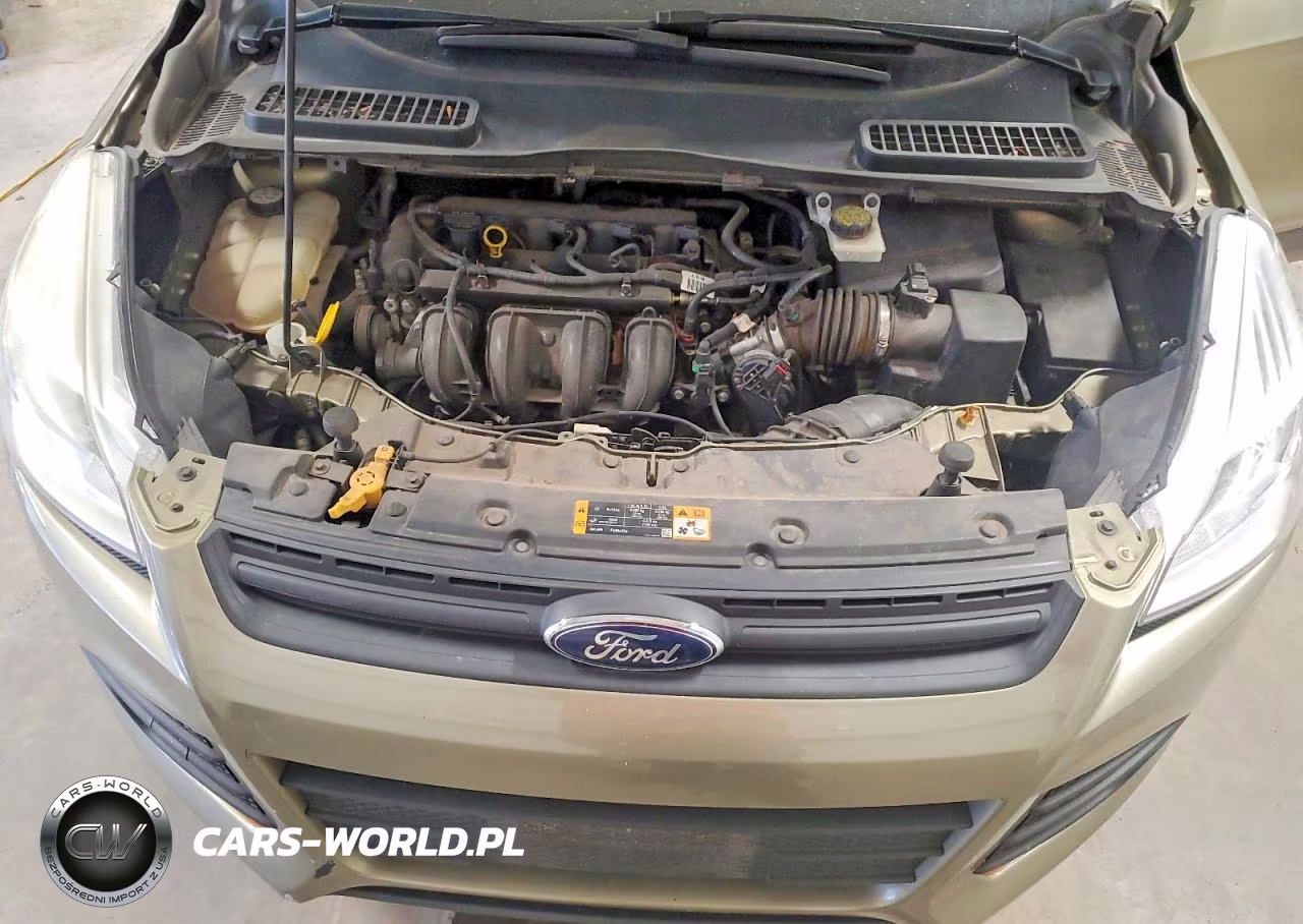2014 Ford Escape VIN:1FMCU0F72EUA13625 - 12
