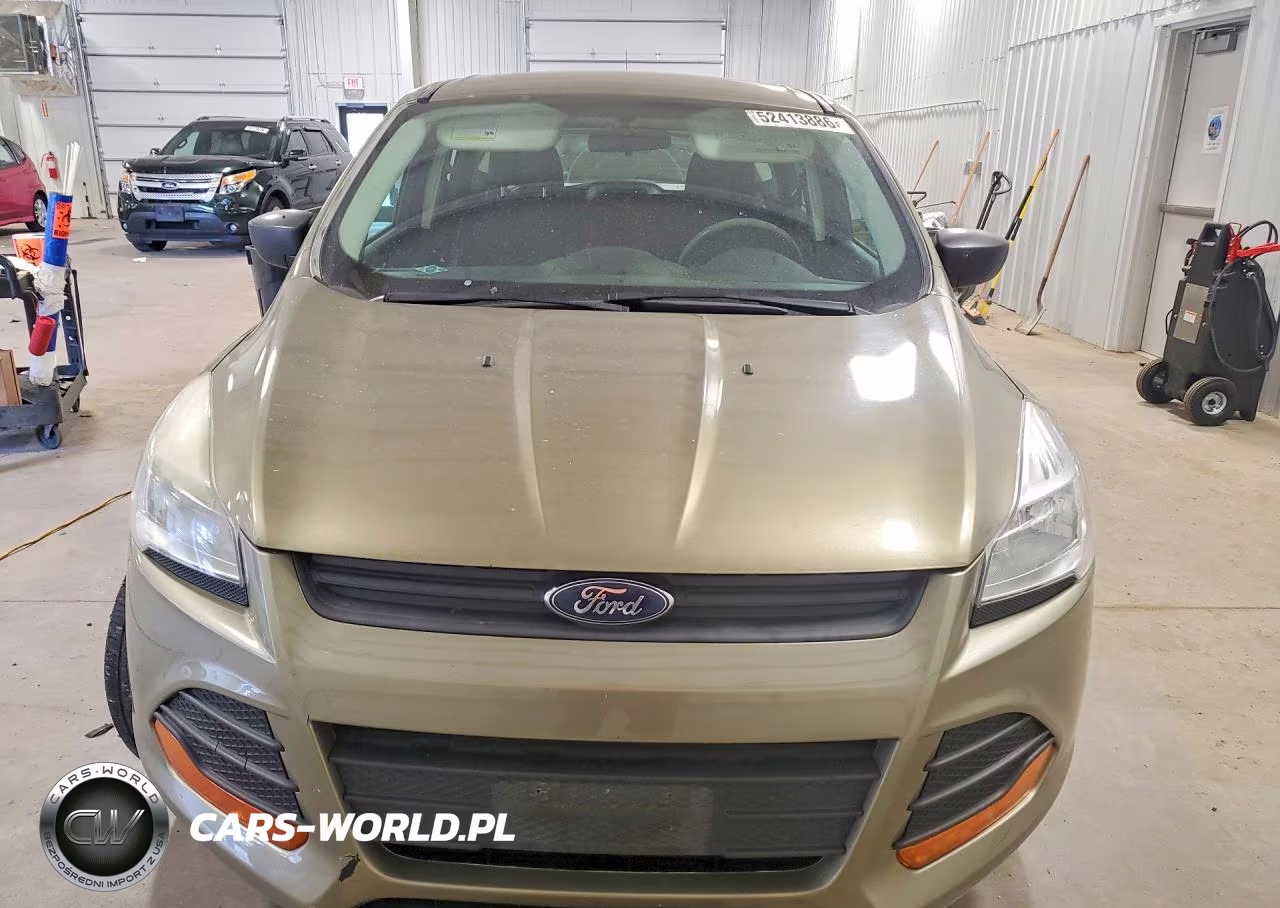 2014 Ford Escape VIN:1FMCU0F72EUA13625 - 5