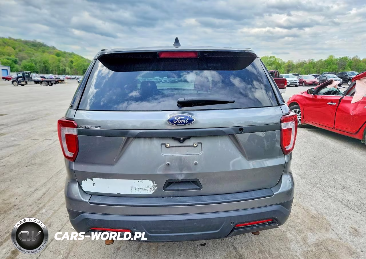 2019 Ford Explorer Police Interceptor VIN:1FM5K8AR1KGB18382 - 6