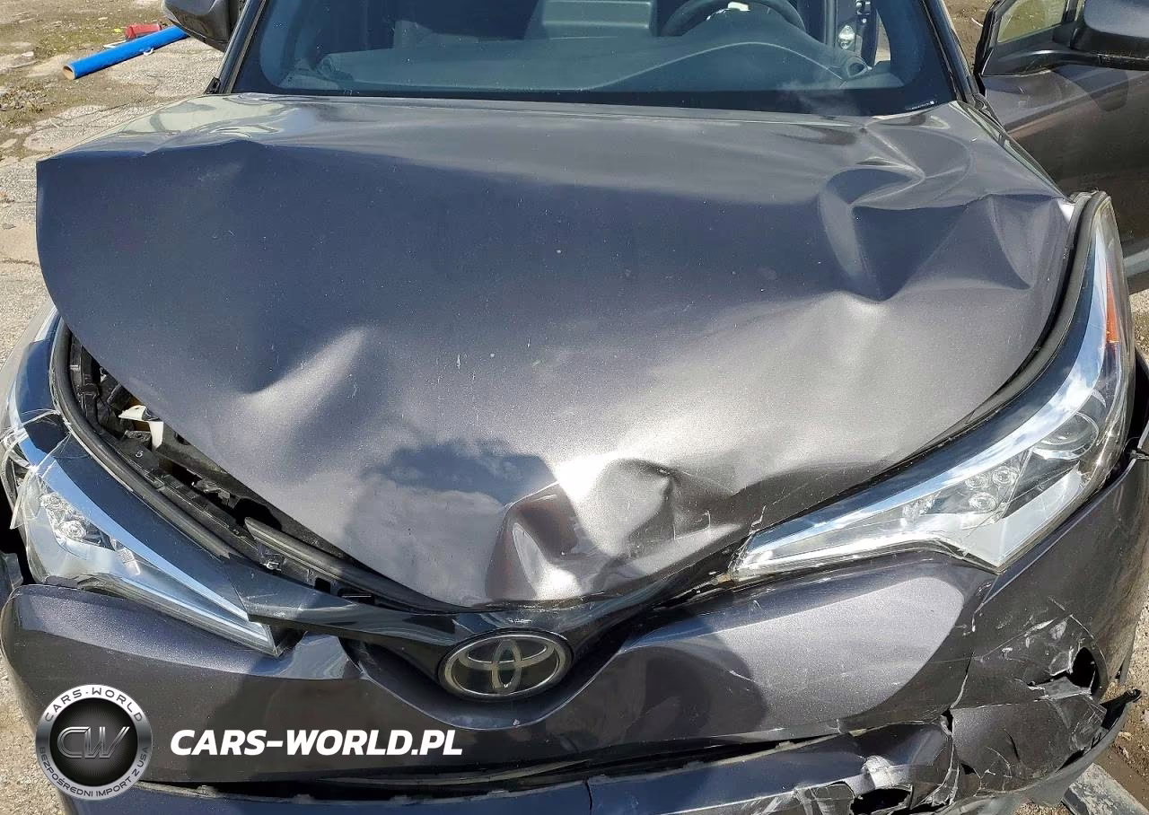 2019 Toyota C-Hr Le VIN:JTNKHMBX1K1021676 - 11