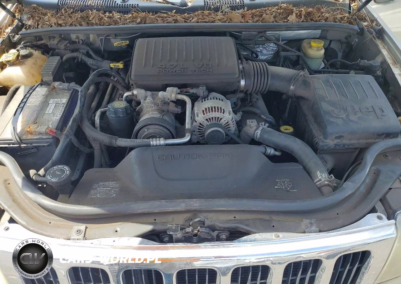 2003 Jeep Grand Cherokee Laredo VIN:1J4GW48N53C554507 - 11
