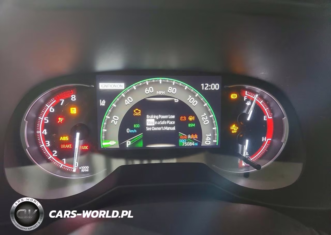 2019 Toyota Rav4 Limited VIN:2T3Y1RFV1KW021770 - 9