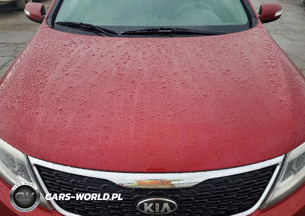 2015 Kia Sorento Lx VIN:5XYKT3A67FG596196 - 11