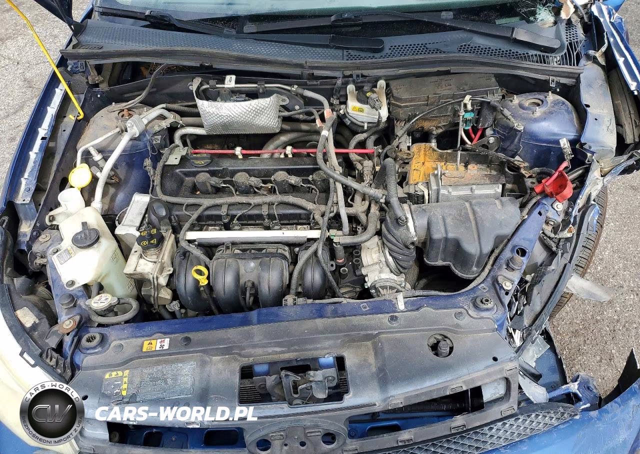 2009 Ford Focus Se VIN:1FAHP35N69W129204 - 11