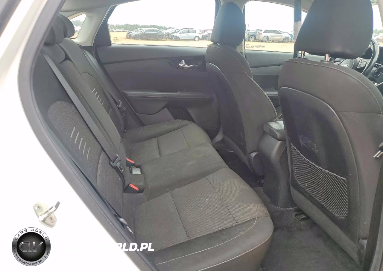 2019 Kia Forte S VIN:3KPF34AD9KE107021 - 10
