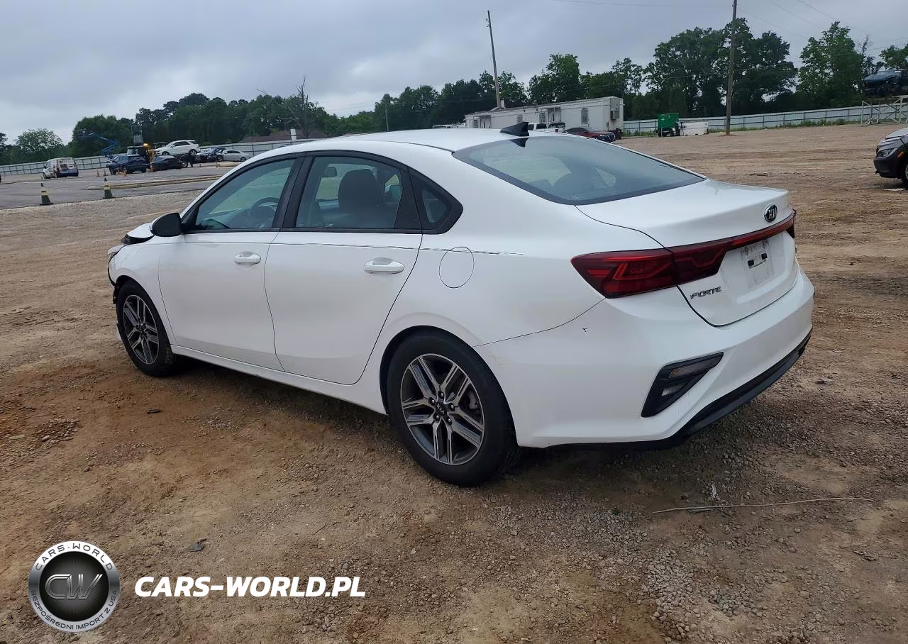 2019 Kia Forte S VIN:3KPF34AD9KE107021 - 2