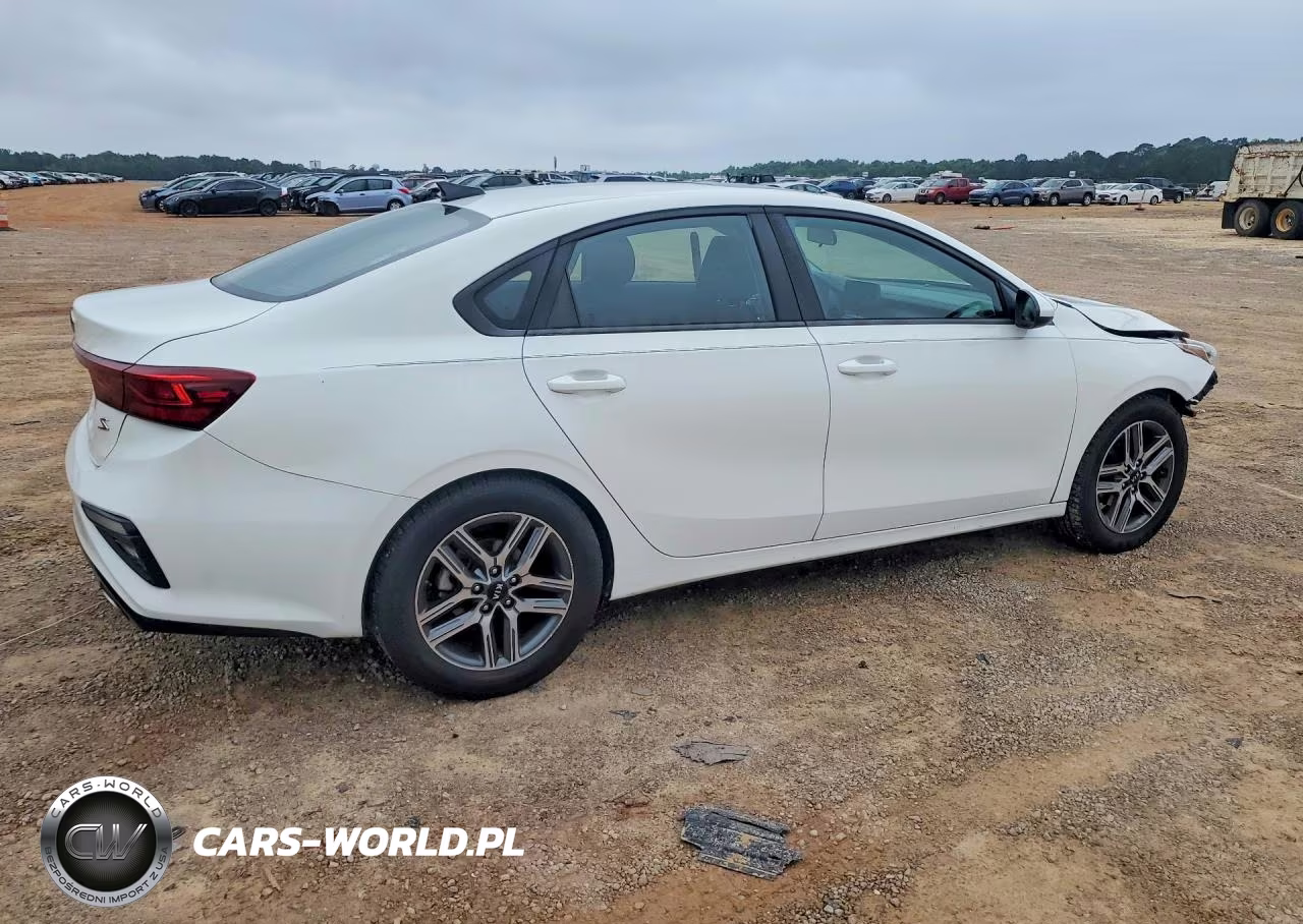2019 Kia Forte S VIN:3KPF34AD9KE107021 - 3