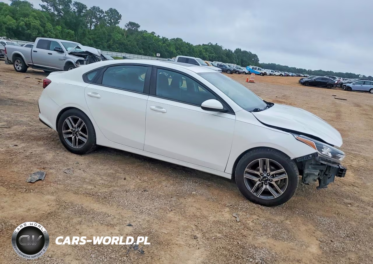 2019 Kia Forte S VIN:3KPF34AD9KE107021 - 4