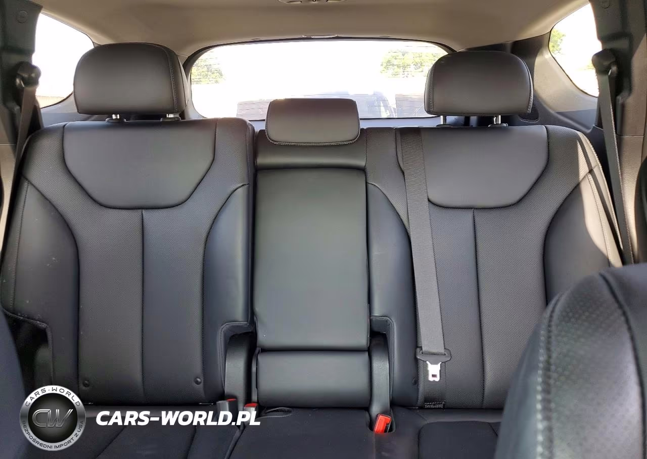 2020 Hyundai Santa Fe Sel Premium VIN:5NMS34AJ9PH569440 - 10