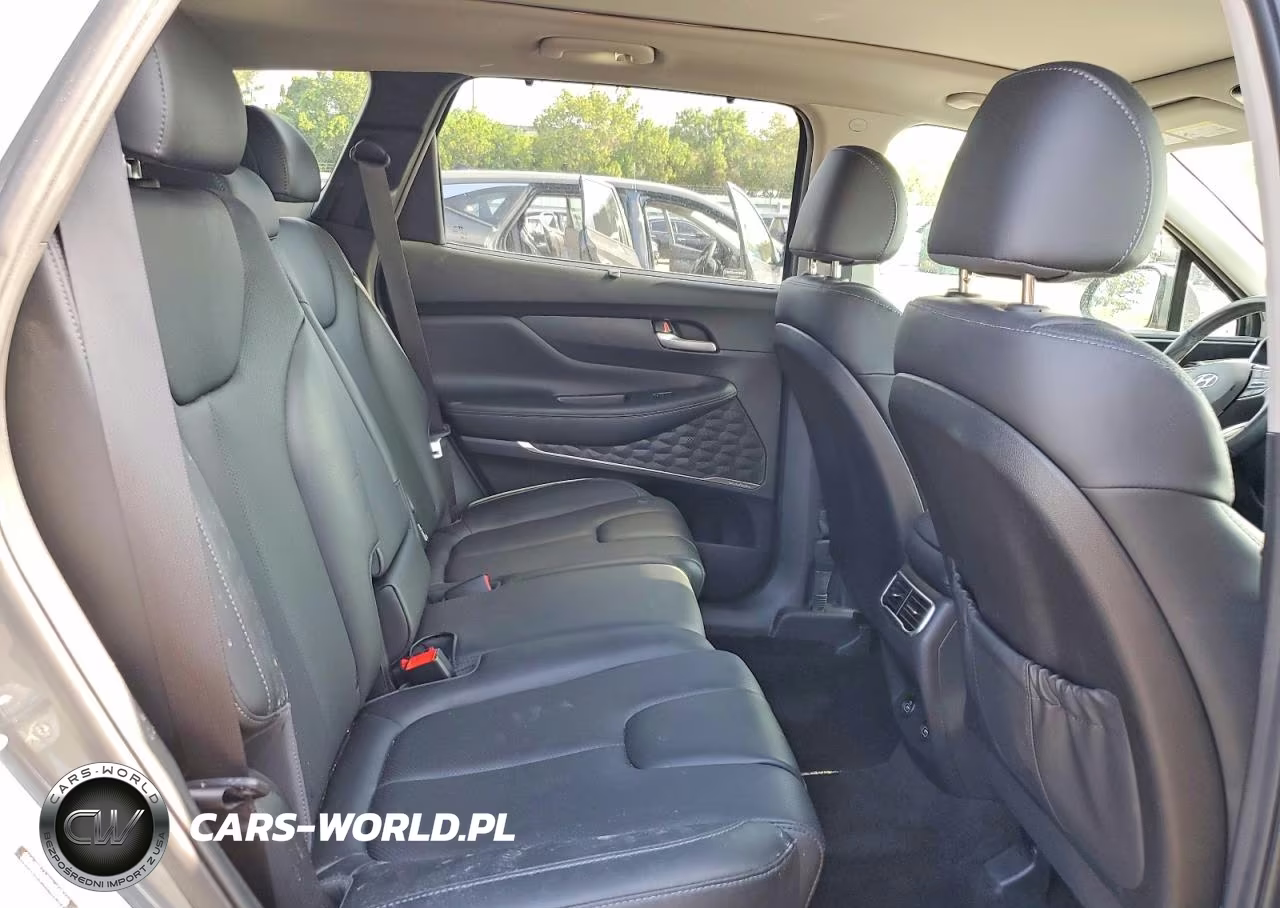 2020 Hyundai Santa Fe Sel Premium VIN:5NMS34AJ9PH569440 - 11
