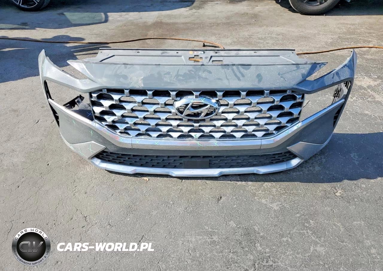 2020 Hyundai Santa Fe Sel Premium VIN:5NMS34AJ9PH569440 - 13