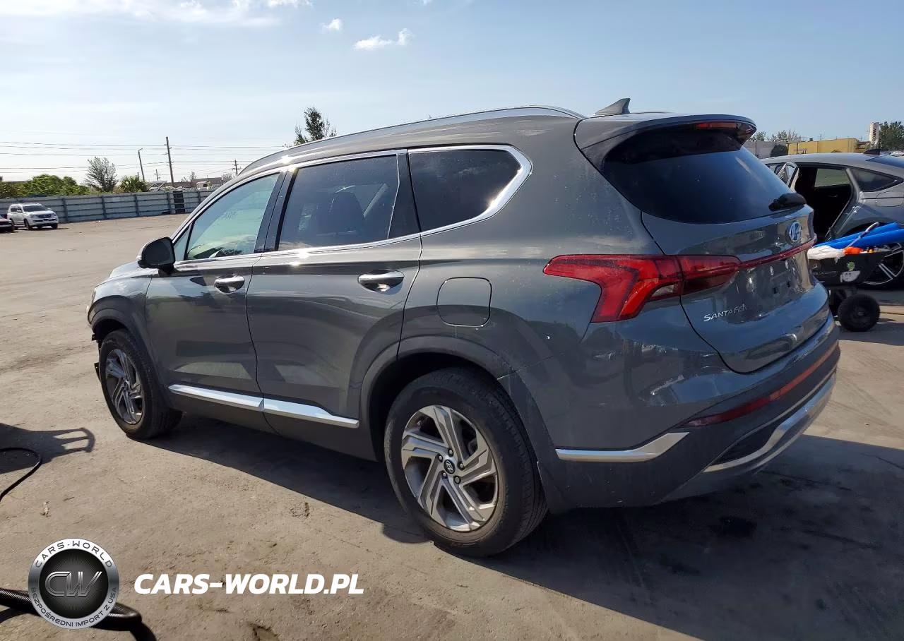 2020 Hyundai Santa Fe Sel Premium VIN:5NMS34AJ9PH569440 - 2