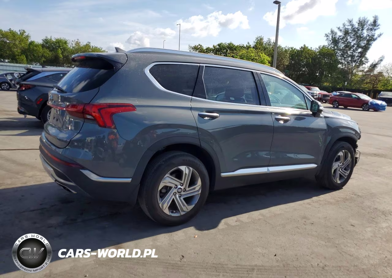 2020 Hyundai Santa Fe Sel Premium VIN:5NMS34AJ9PH569440 - 3