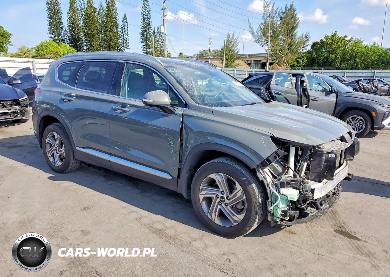 2020 Hyundai Santa Fe Sel Premium VIN:5NMS34AJ9PH569440 - 4