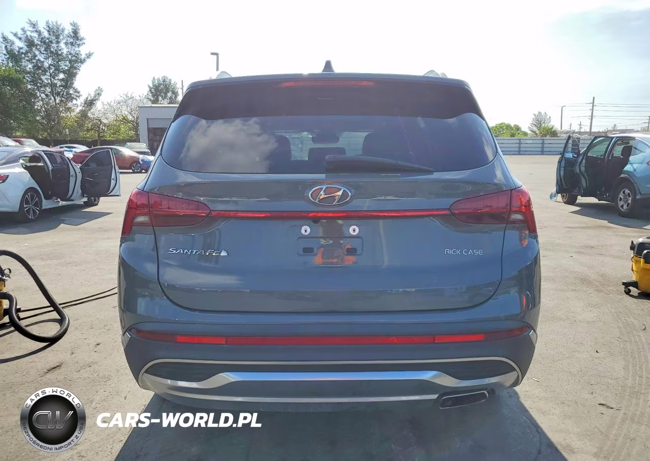 2020 Hyundai Santa Fe Sel Premium VIN:5NMS34AJ9PH569440 - 6